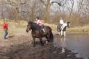 elfe-teich.jpg